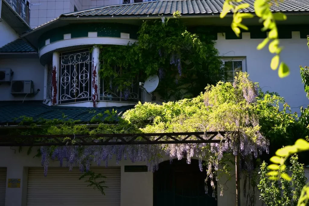 What Is The Most Environmentally Friendly Roofing? 