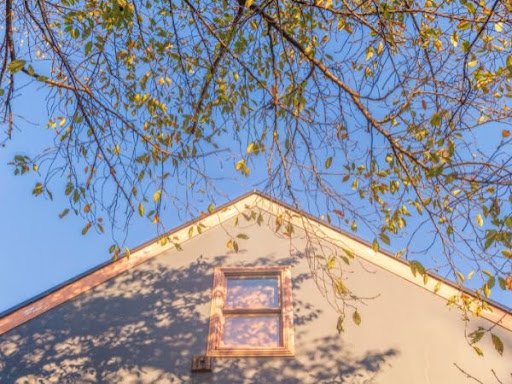 tree branches near residential roof